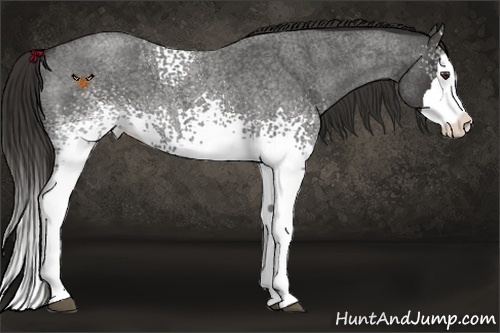 Horse Color:White Spotted Liver Red Roan Splash 