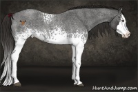 Horse Color:White Spotted Liver Red Roan Splash 