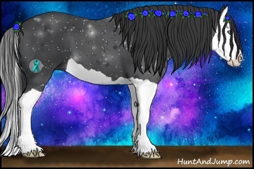 Horse Color:Black Splash 