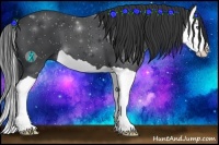 Horse Color:Black Splash