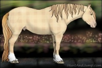 Horse Color:Plaid Gold Champagne Dun