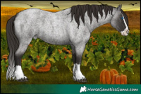 Horse Color:Liver Red Roan Splash 