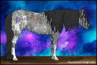 Horse Color:Black Ice