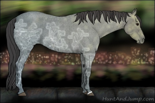 Horse Color:Smoky Blue Ice Roan 