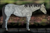 Horse Color:Smoky Blue Ice Roan