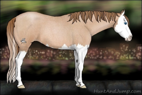 Horse Color:Bay Roan Pearl Splash 