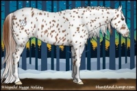 Horse Color:Chestnut Appaloosa