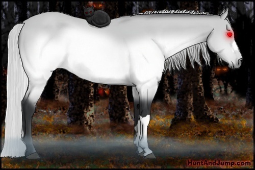 Horse Color:Silver Brown Chinchilla 