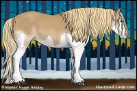 Horse Color:Chestnut Splash 