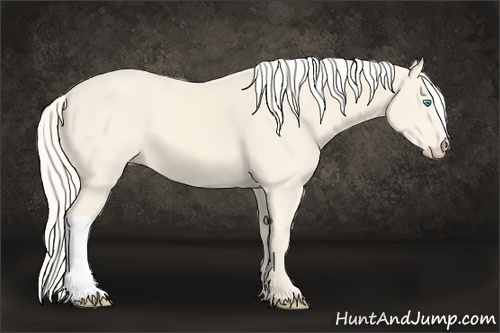 Horse Color:Cremello 