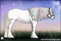 Horse Color:Nacre Red Dun Splash Tobiano Varnish