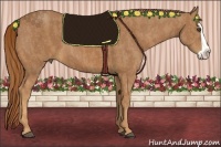 Horse Color:Chestnut Splash Frame Brindle