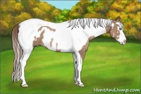 Horse Color:Black Pearl Splash Tobiano Frame Rabicano