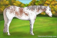 Horse Color:White Spotted Silver Bay Ice 