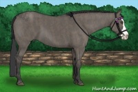 Horse Color:Grullo Splash Frame  Brindle