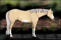 Horse Color:Silver Sable Champagne Dun Splash Frame 