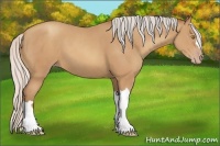 Horse Color:Silver Sable Champagne 