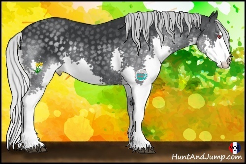 Horse Color:Silver Black Chinchilla Splash 
