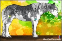 Horse Color:Silver Black Chinchilla Splash