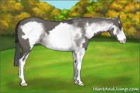 Horse Color:White Spotted Grullo Frame