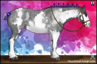 Horse Color:White Spotted Blue Roan Splash Frame Varnish
