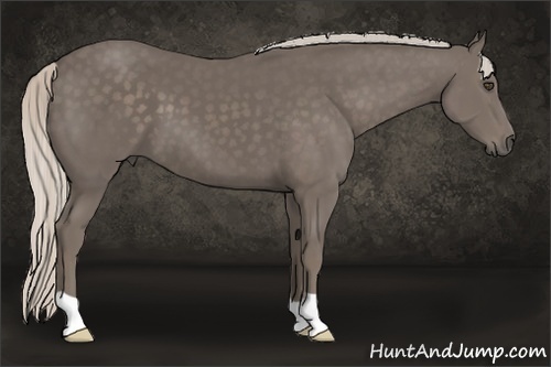 Horse Color:Silver Black 