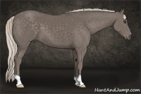 Horse Color:Silver Black 