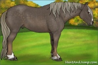 Horse Color:Liver Red Roan Sabino