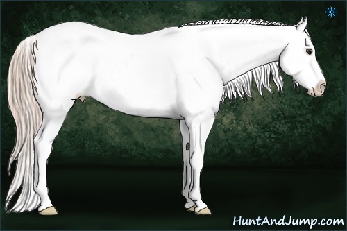 Horse Color:Palomino Snowflake Varnish