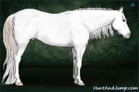 Horse Color:Palomino Snowflake Varnish