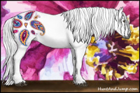 Horse Color:Gray Chestnut 