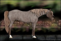 Horse Color:Liver Red Roan Varnish 