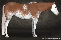 Horse Color:White Spotted Silver Bay Splash 