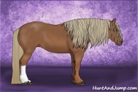 Horse Color:Chestnut Frame