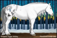 Horse Color:Liver Chestnut Appaloosa 