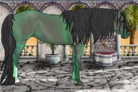 Horse Color:Grullo Tobiano 