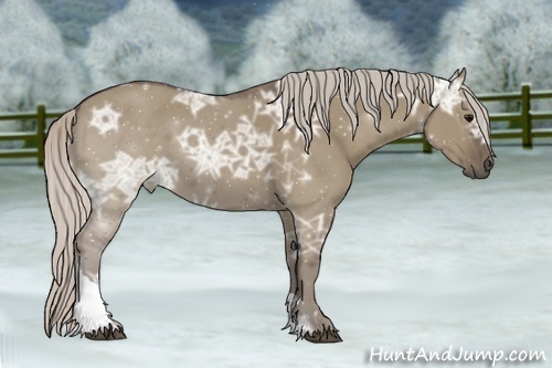 Horse Color:Silver Grullo Ice Tobiano Rabicano 