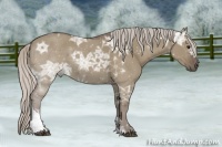 Horse Color:Silver Grullo Ice Tobiano Rabicano