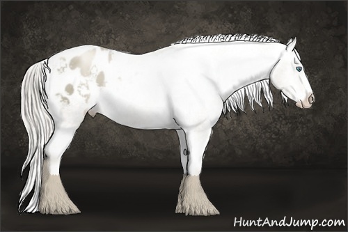 Horse Color:Chocolate Palomino Pearl Mushroom Sabino Varnish Rabicano