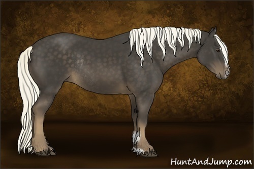 Horse Color:Liver Chestnut Sabino Rabicano 