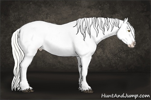 Horse Color:Liver Chestnut Ice Pearl Mushroom Varnish Rabicano