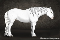 Horse Color:Liver Chestnut Ice Pearl Mushroom Varnish Rabicano