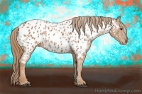 Horse Color:Chestnut Near Leopard 