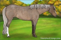 Horse Color:Silver Buckskin Roan 