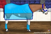 Horse Color:Bay Splash Frame