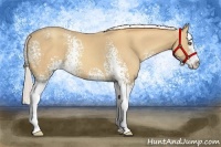 Horse Color:White Spotted Silver Classic Cream Champagne Splash 