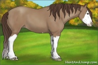 Horse Color:Classic Champagne Splash