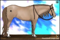 Horse Color:Black Pearl Sabino Rabicano 
