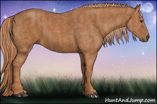 Horse Color:Chestnut Brindle