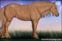 Horse Color:Chestnut  Brindle